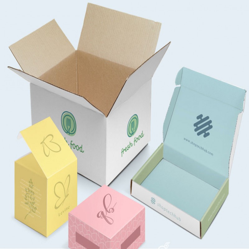 Flip Lid Food Boxes