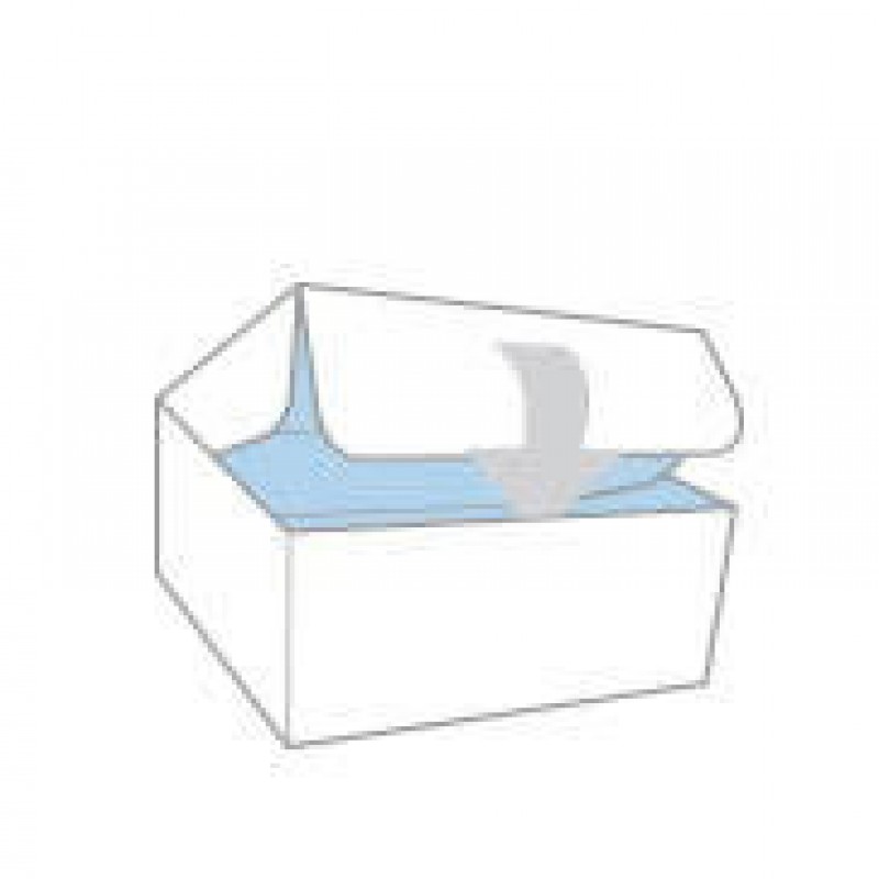 Flip Lid Food Boxes