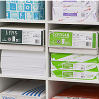 Colour and Multipurpose Paper_1