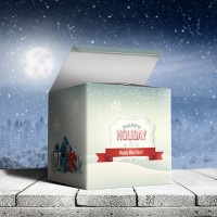 Standard Cube Boxes_1