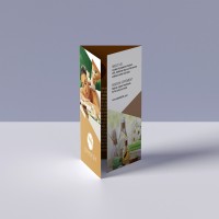 Brochures Matte Finish_1